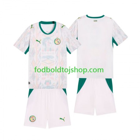 Senegal Børn Hjemme trøje 2026 2027 S/S